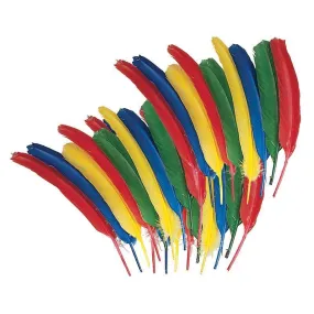 (6 Pk) Quill Feathers Bonus 24 Per