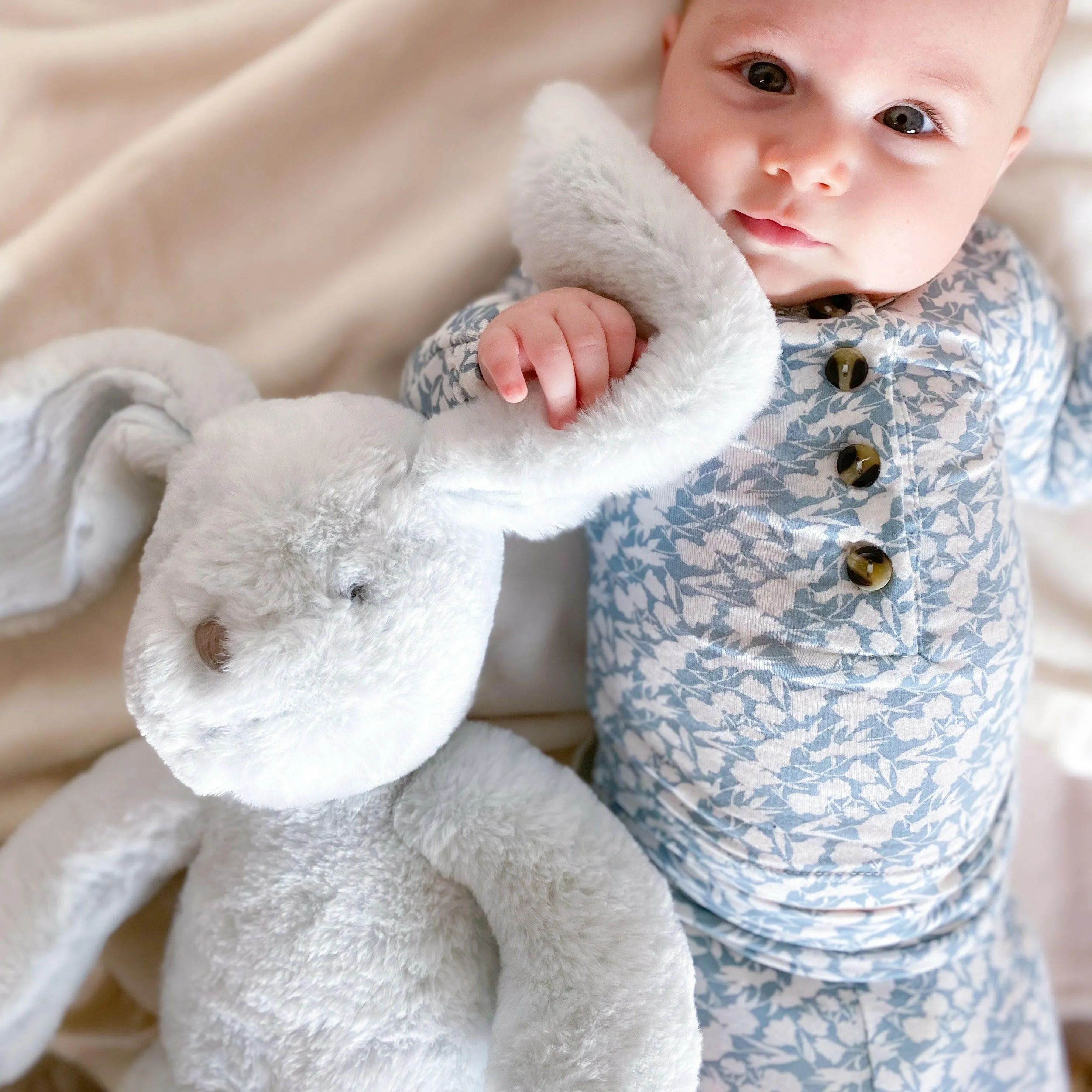 'ABBOTT' BLUE BUNNY PLUSH TOY